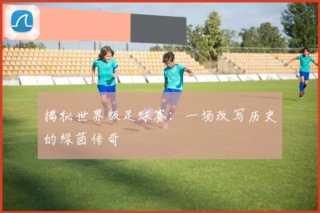 揭秘世界级足球赛：一场改写历史的绿茵传奇